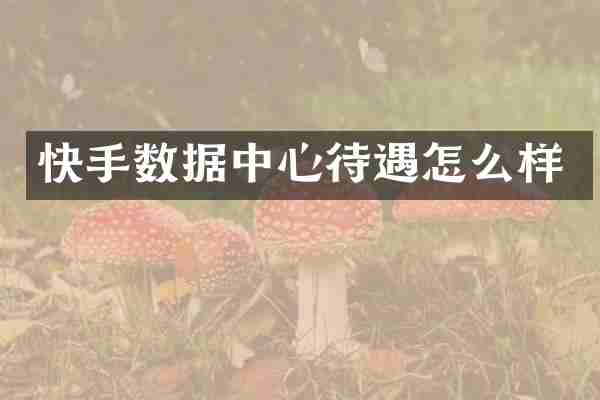 快手数据中心待遇怎么样