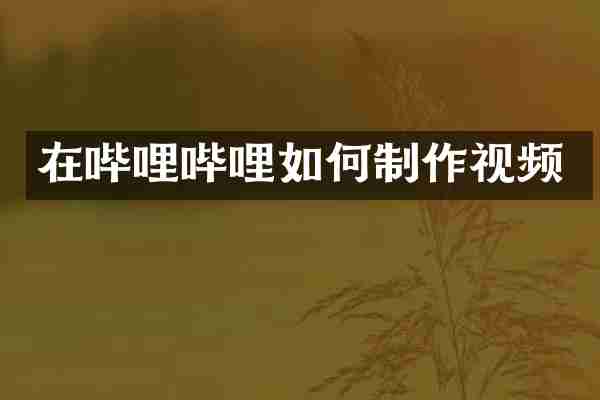 在哔哩哔哩如何制作视频