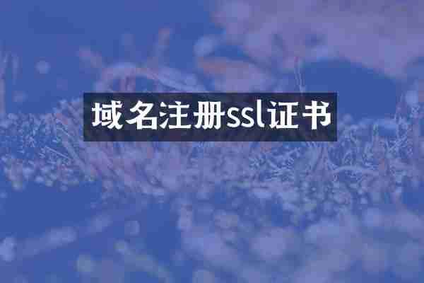 域名注册ssl证书