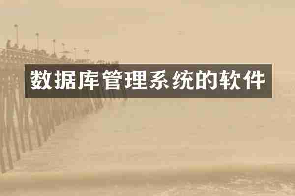 数据库管理系统的软件