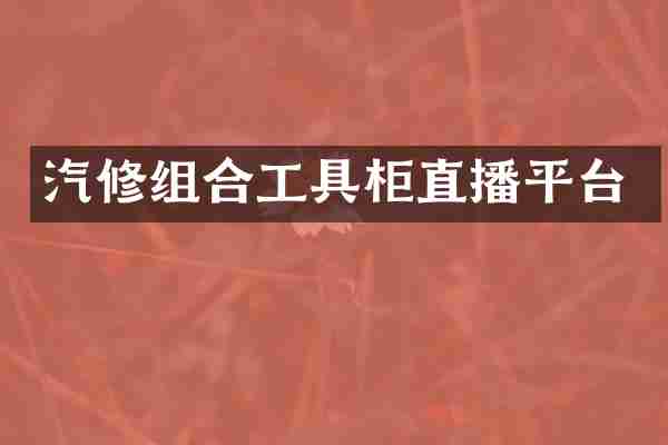 汽修组合工具柜直播平台