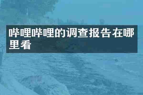 哔哩哔哩的调查报告在哪里看