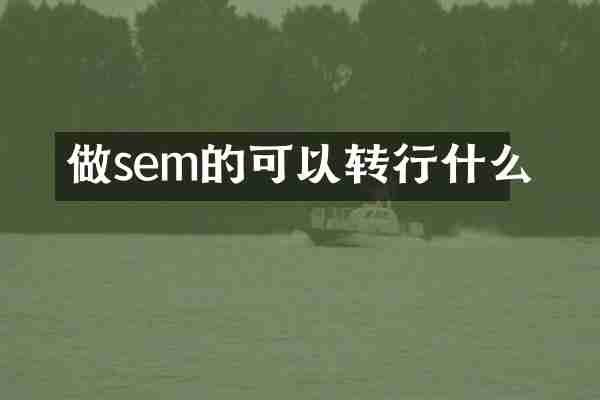 做sem的可以转行什么