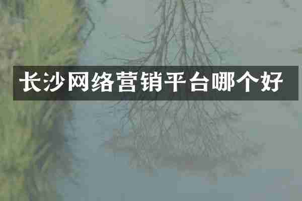 长沙网络营销平台哪个好