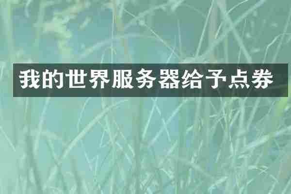 我的世界服务器给予点券