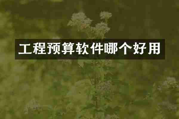 工程预算软件哪个好用