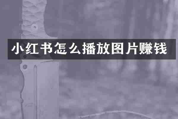 小红书怎么播放图片赚钱