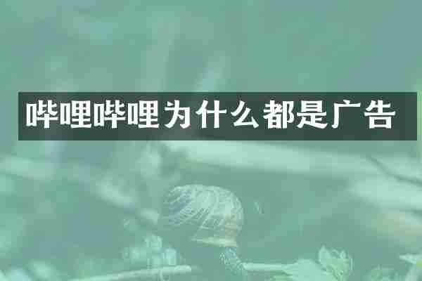 哔哩哔哩为什么都是广告