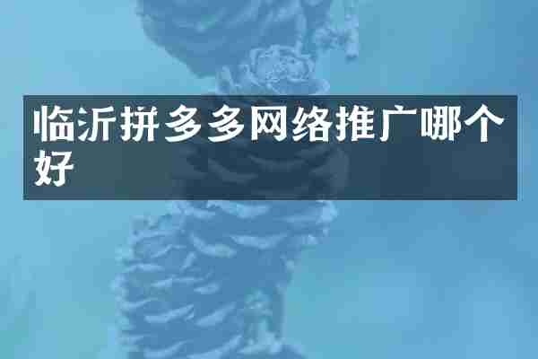 临沂拼多多网络推广哪个好