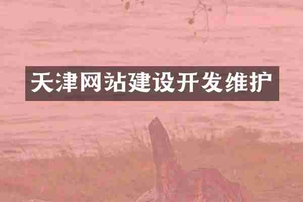 天津网站建设开发维护