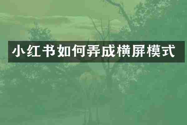 小红书如何弄成横屏模式