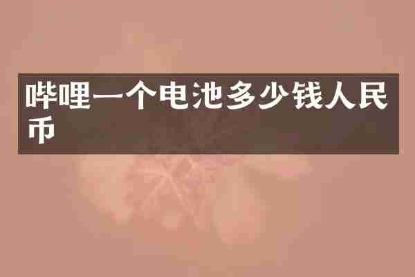 哔哩一个电池多少钱人民币