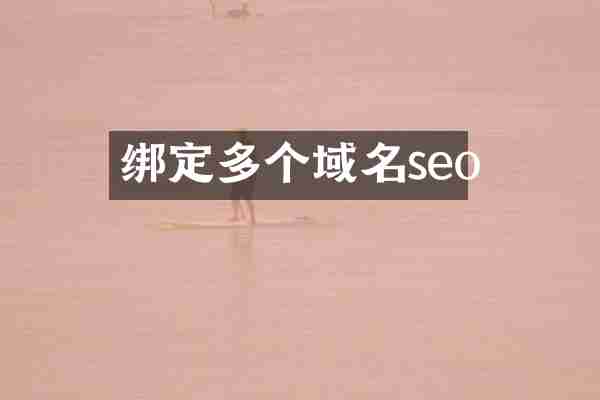 绑定多个域名seo