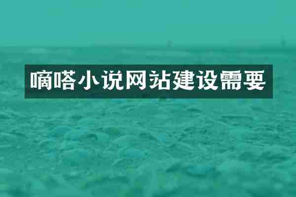 嘀嗒小说网站建设需要