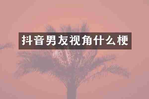 抖音男友视角什么梗