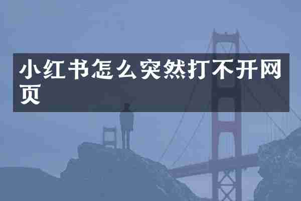 小红书怎么突然打不开网页
