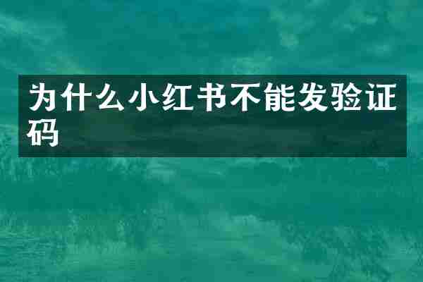 为什么小红书不能发验证码