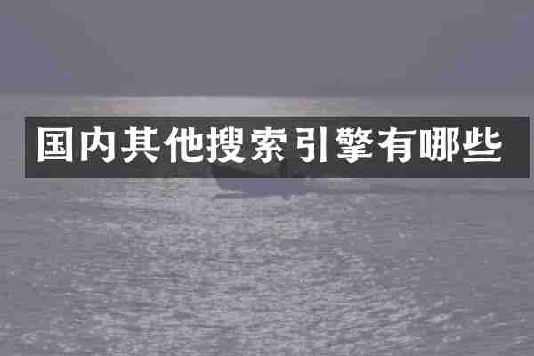 国内其他搜索引擎有哪些