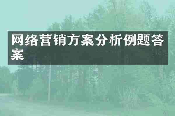 网络营销方案分析例题答案
