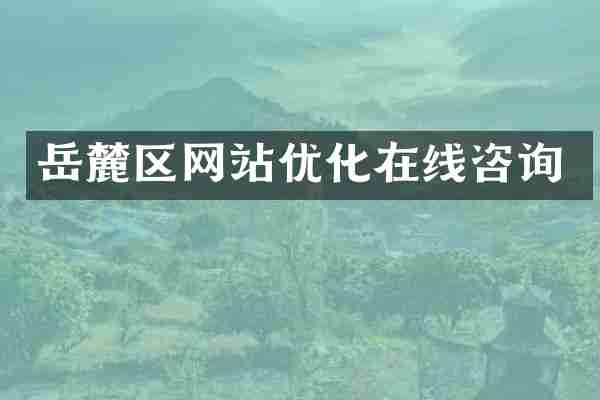 岳麓区网站优化在线咨询