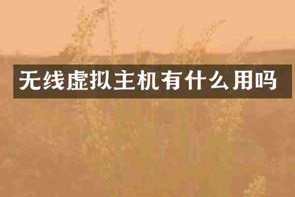 无线虚拟主机有什么用吗