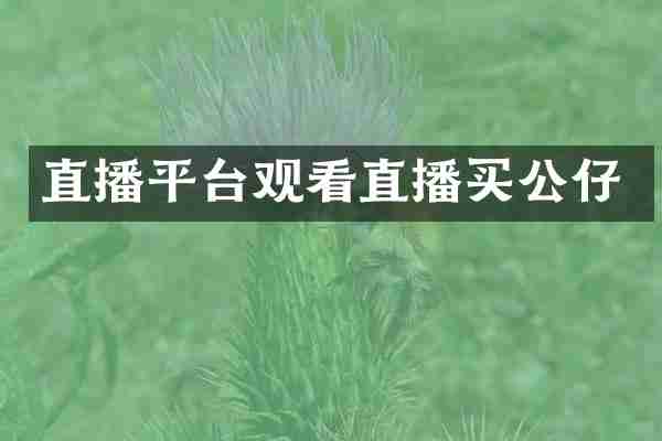 直播平台观看直播买公仔