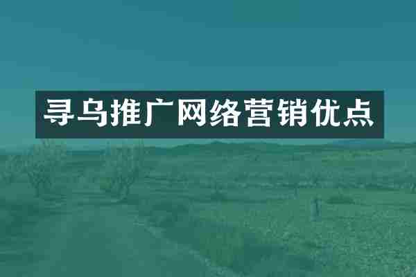 寻乌推广网络营销优点