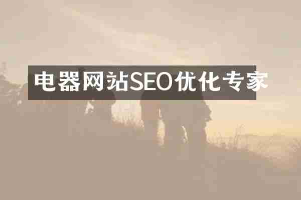 电器网站SEO优化专家