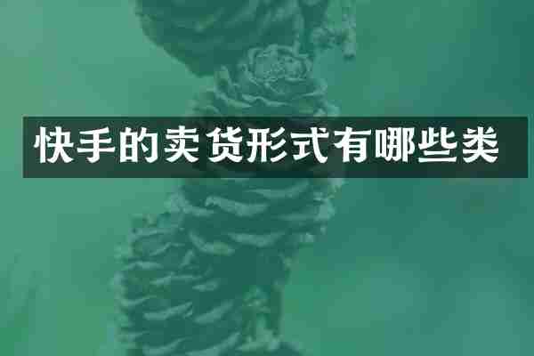 快手的卖货形式有哪些类