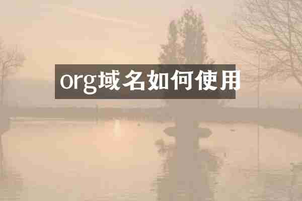 org域名如何使用