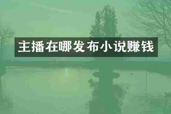 主播在哪发布小说赚钱