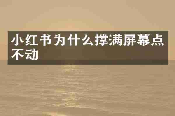 小红书为什么撑满屏幕点不动