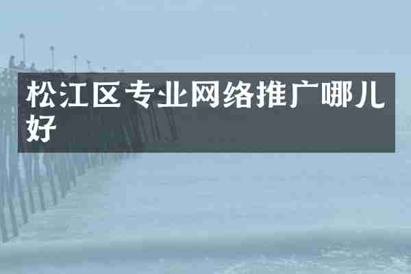 松江区专业网络推广哪儿好
