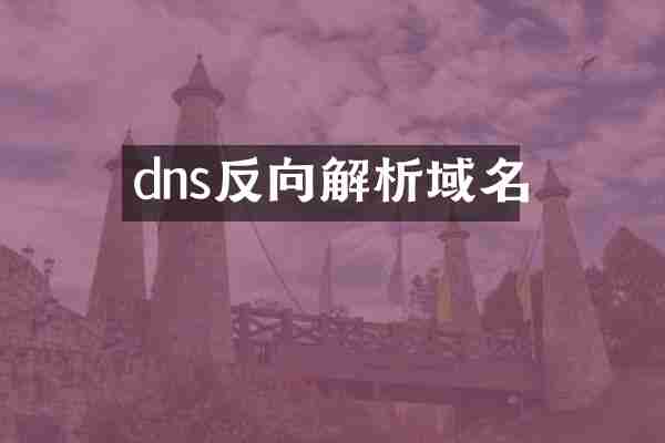dns反向解析域名