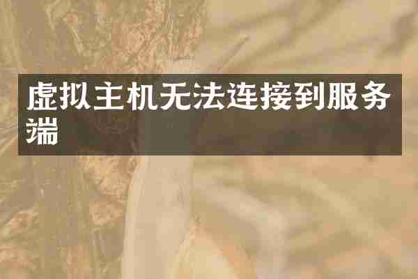 虚拟主机无法连接到服务端