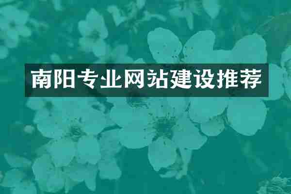南阳专业网站建设推荐
