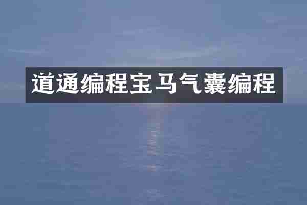 道通编程宝马气囊编程