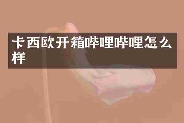 卡西欧开箱哔哩哔哩怎么样