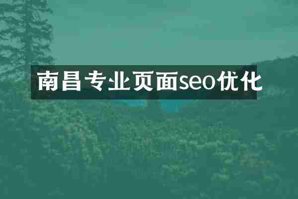 南昌专业页面seo优化