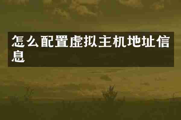怎么配置虚拟主机地址信息