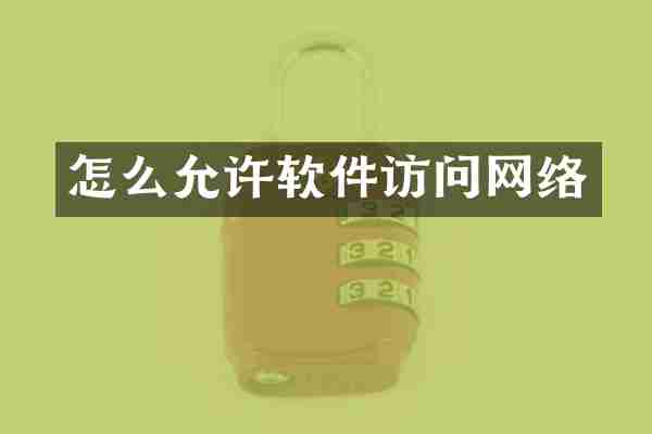 怎么允许软件访问网络