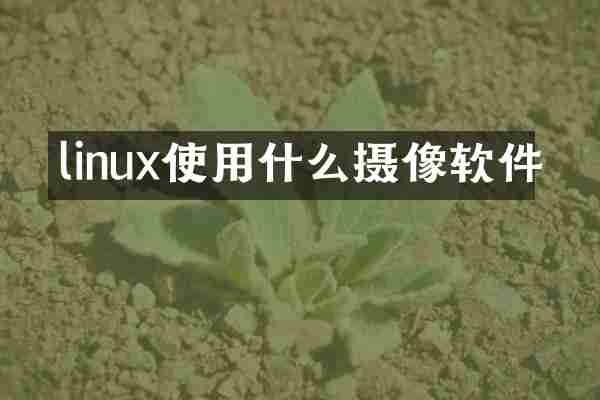 linux使用什么摄像软件