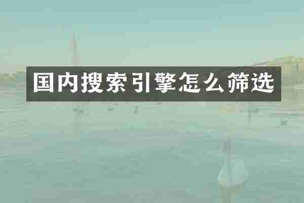 国内搜索引擎怎么筛选
