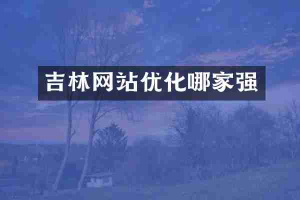 吉林网站优化哪家强