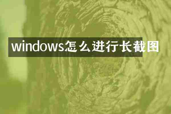 windows怎么进行长截图