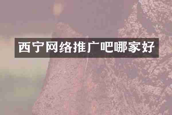 西宁网络推广吧哪家好
