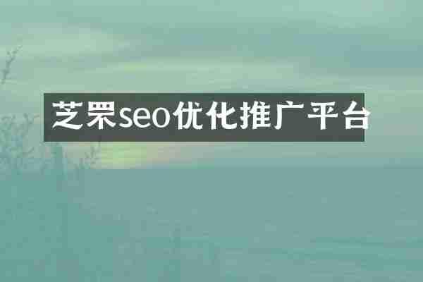 芝罘seo优化推广平台