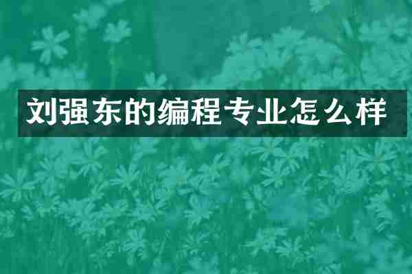 刘强东的编程专业怎么样
