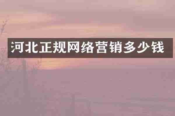 河北正规网络营销多少钱