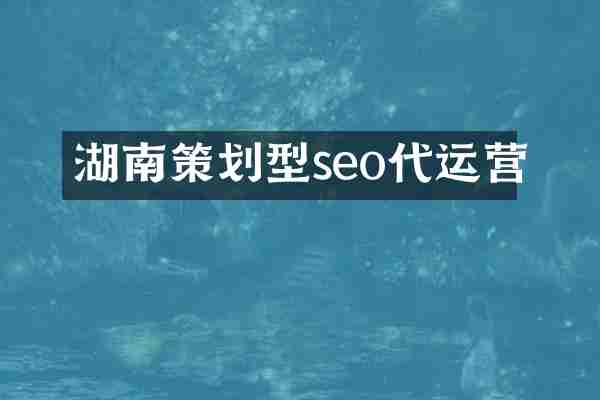 湖南策划型seo代运营